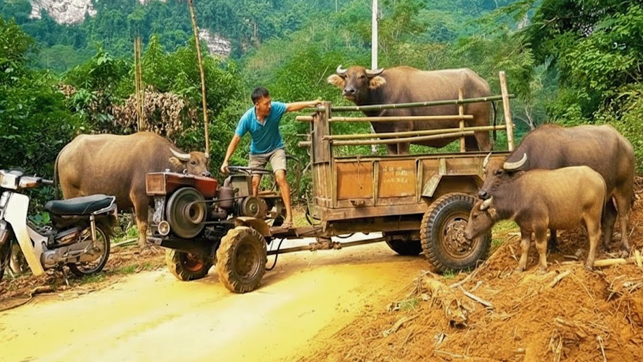 Together Forward: Young Couple Expands Income Through Transport Work