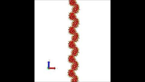 Self-assembly of  short amphiphilic peptides leads to peptide nanotube or nanofiber formation