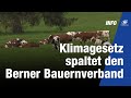 Klimagesetz spaltet den berner bauernverband