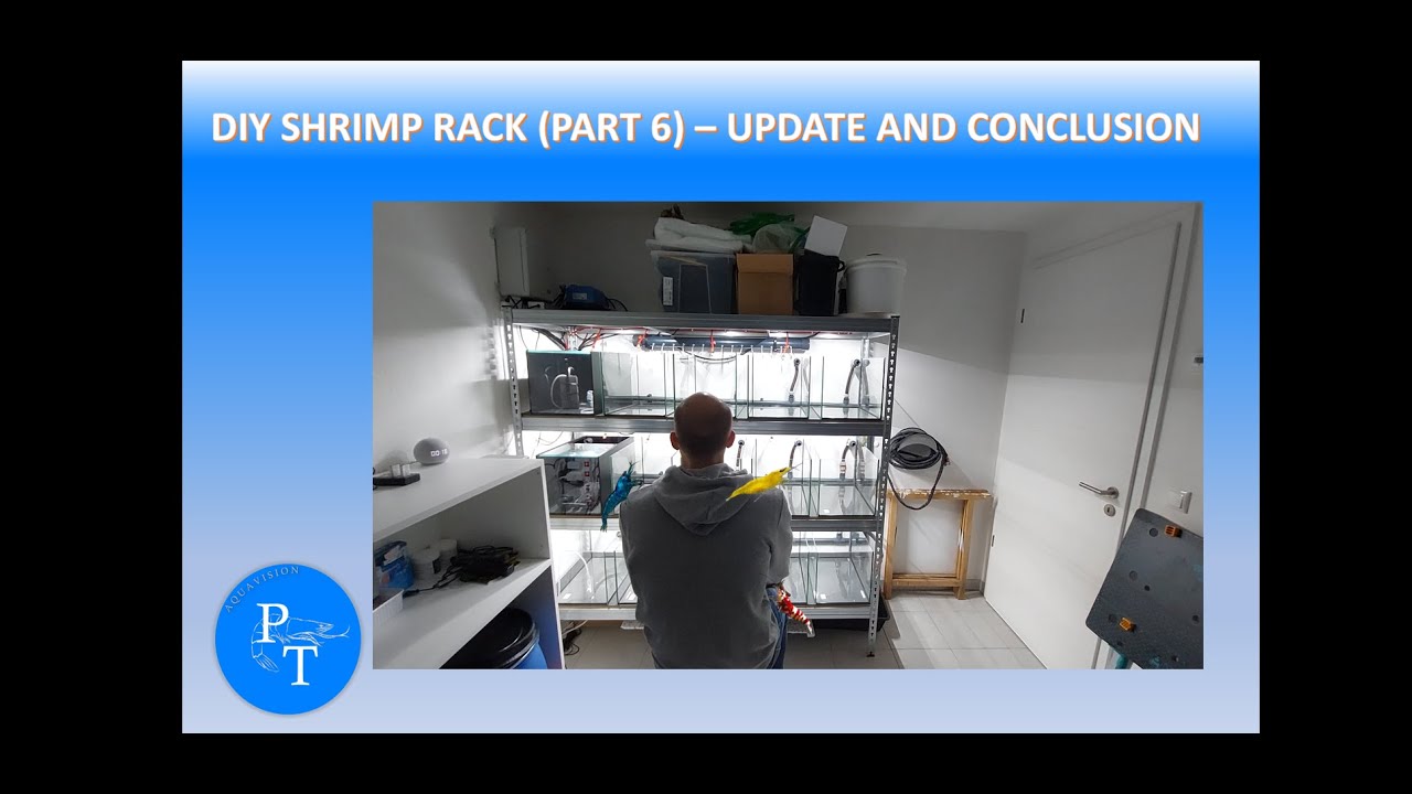 DIY shrimp breeding rack for Caridina/Neocaridina (Part 6) Update and