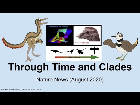 Through Time And Clades