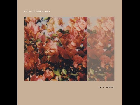 Chihei Hatakeyama Long Shadows