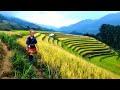 Documentaire de voyage sur le nord du vietnam p1