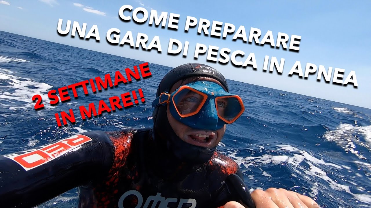 come-si-prepara-un-campionato-italiano-di-pesca-in-apnea-youtube