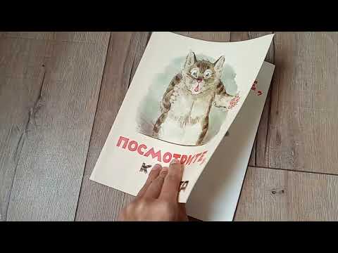 Обзор книги "Посмотрите, какие котята"