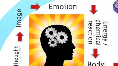 What is the Mind-Body Connection part 2 of 3