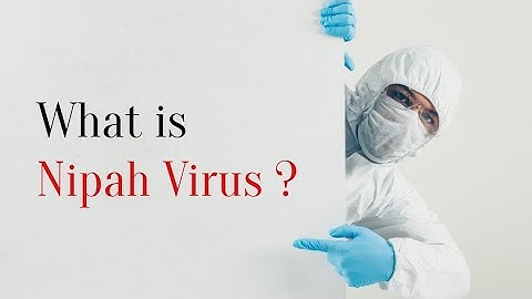 "Understanding Nipah Virus: Causes, Symptoms, and Prevention"