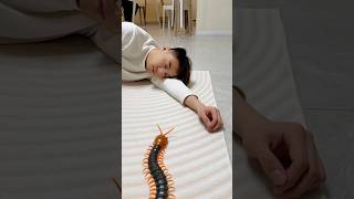 Wait… did you see THAT behind Dad?! 😱🐛|#shortsfeed #ytshorts #shorts