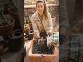🌿 She Built a Beautiful Wooden Planter From Scratch! 🪵✨ | DIY Garden Project