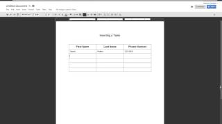 Celebrity Session 4   Inserting a Table Wealth