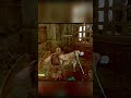 "KRATOS ACABA COM TUDO! Cena Insana! #GodOfWar #Kratos #GameplayBr #AçãoTotal 💥 Se curtiu segue aí