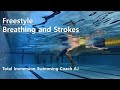 Total immersion swimming coach aj kim breathing and strokes two beat kicks