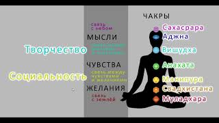 Восточная И Западная Антропологии.  Часть 2.  Чакры Вишудха И Манипура.  Творчество И Социальность