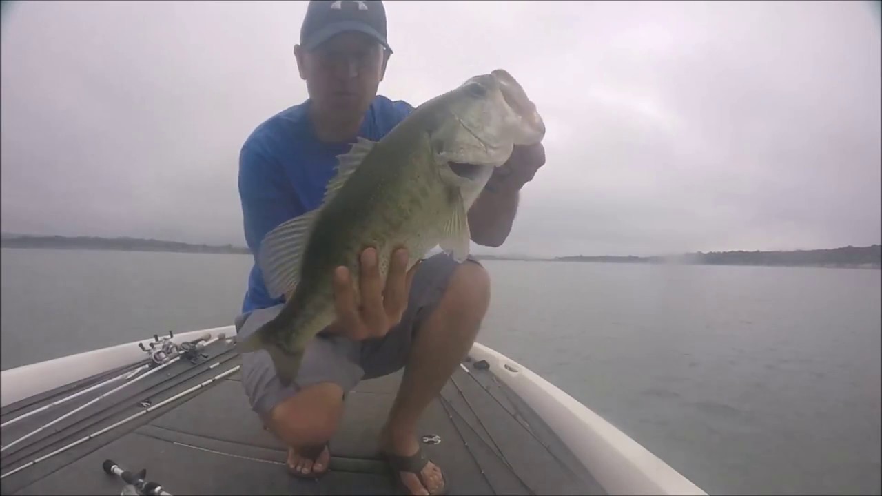 Central Texas Bass Fishing / Stillhouse Lake, Tx YouTube