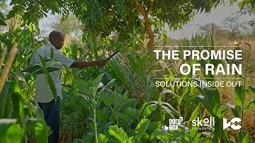 How One Farmer Made It Rain During a Drought | #SolutionsInsideOut | KickStart International