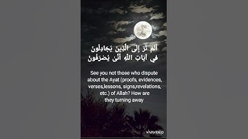 آية 69 من سورة غافر Ayat 69  from surah Guafir