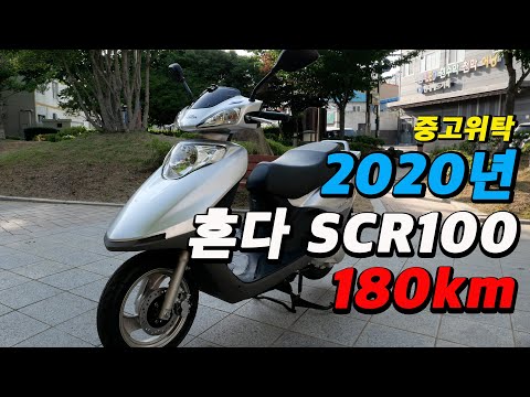 2020년식 혼다 SCR 100 중고 위탁