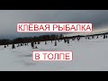 Рыбалка в толпе на Волге