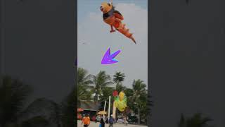 How To Fly Kite