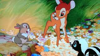Cuentos Infantiles  Bambi