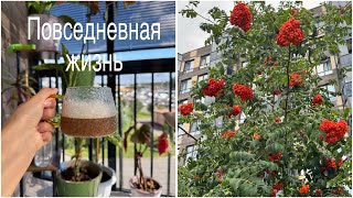 Тихий влог для души🕊️. Ежедневные моменты счастья и радости🫶.