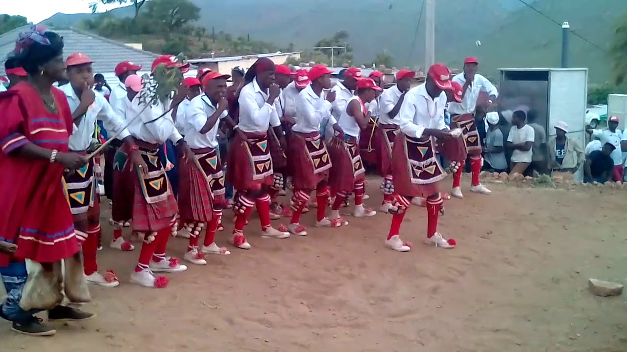 Tau txa hloka seboka di xita ke nare e hlotxa