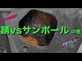 第82話 セリカ LB 【混ぜるな危険】キッチンハイターがサンポールを扱うさび落とし!