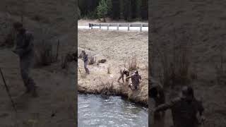 Trout fishing Black Hills SD