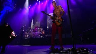 Red Hot Chili Peppers - The Jam - Live in Köln 2011 [HD]