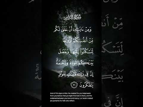 سورة الروم ومن ءاياته ان خلق لكم من أنفسكم أزواجا لتسكنوا إليها وجعل بينكم مودة ورحمة الاية ٢١
