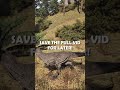 A CLIP FROM THE LONG FORM REX STORY | THE ISLE