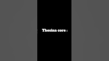 هسته د سینا😂