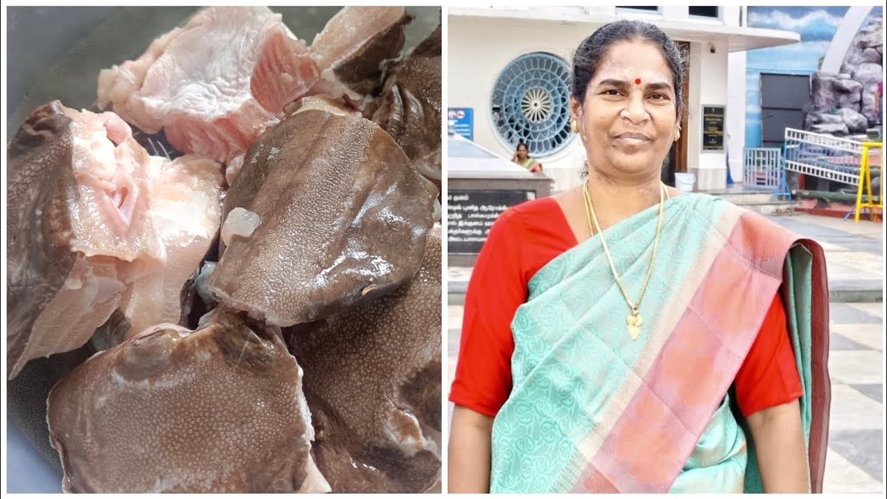 திருக்கை மீன் குழம்பு இடுப்பு வலிக்கு நல்லது,🐠🐠🐠🐠🐟🐟🐳🐳🐠🐠