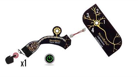 Introduction To NeuroBytes