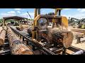 From Giant Oak Log to Massive Solid Wood Table: Full Manufacturing Process