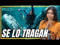 WHALEFALL TE PONDRÁ LA PIEL DE GALLINA - Reacción y Análisis al TRAILER