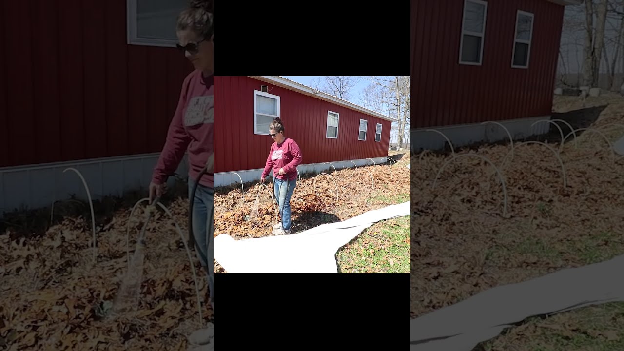 Mayhem On The Homestead Fermented Gardening Homesteading Homesteadgarden