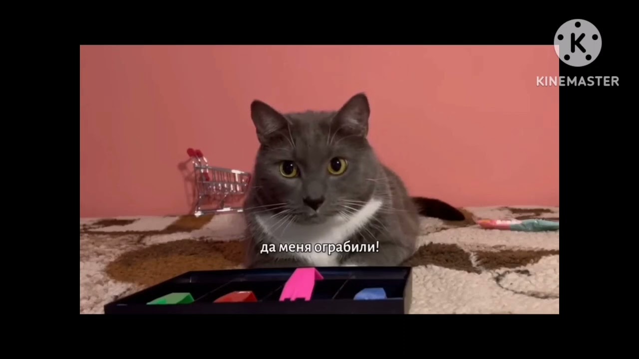 Канал котинет