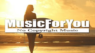 Reed Mathis - Sleepless Aloha [no copyright music]