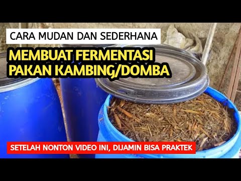 Cara Fermentasi Pakan