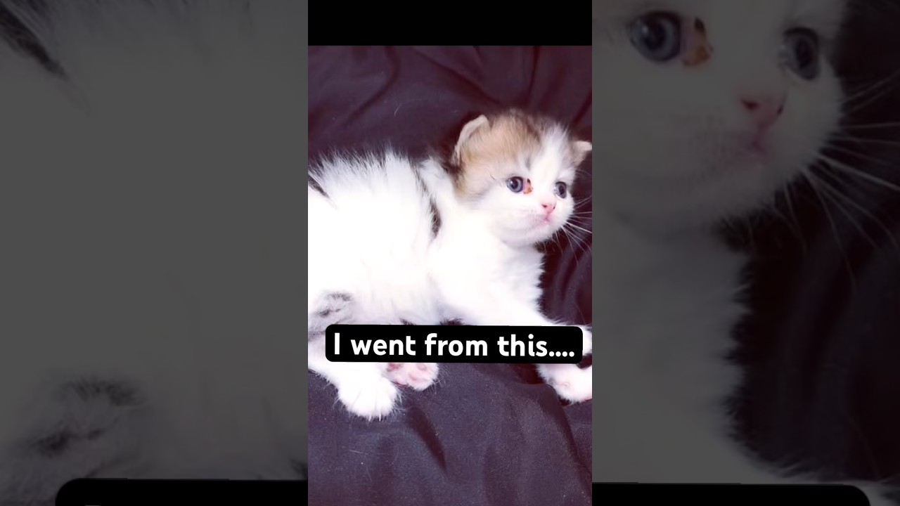 I went from this😍 