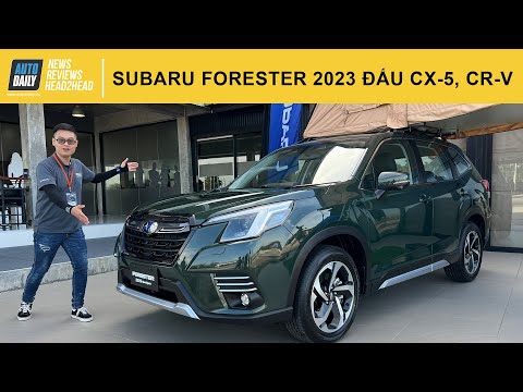 Video Trải nghiệm Subaru Forester 2023 giá từ 969 triệu -... - youtube