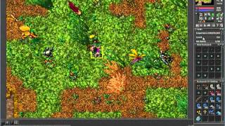 Tibia - Shanera Server - Killing lvl 317 ED Red Skull