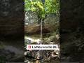 Ref:64_7FxFxph4  les cascades de la combe du pilouvi, � la neuveville, dans le jura bernois.