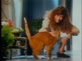 Video: Kitekat Werbung 1990