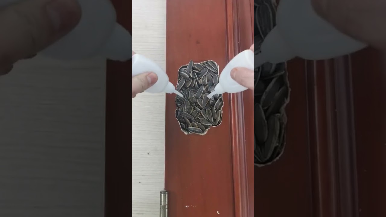 Cómo reparar la madera Puerta de la Casa