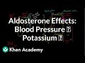 Aldosterone raises blood pressure and lowers potassium | NCLEX-RN | Khan Academy
