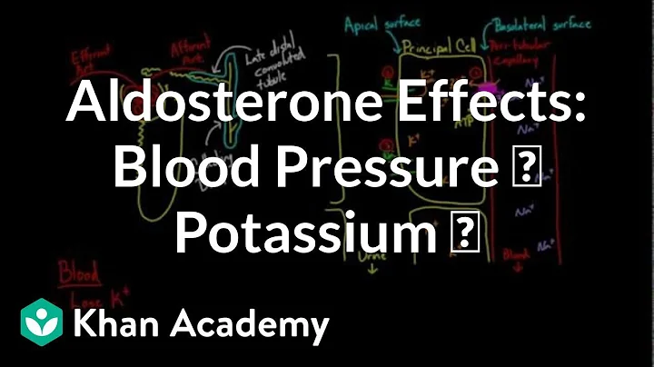 Aldosterone raises blood pressure and lowers potassium | NCLEX-RN | Khan Academy