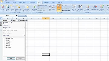 Excel Filters: Creating and Using Filters in Excel 2007