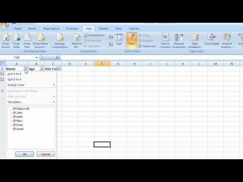 Excel Filters: Creating and Using Filters in Excel 2007